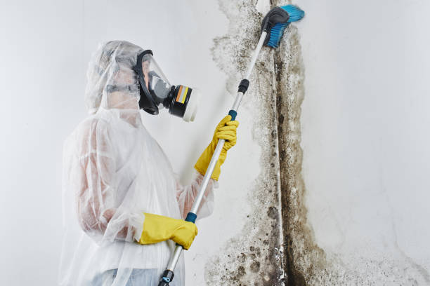 Professional Water damage restoration in Lewisville, WA